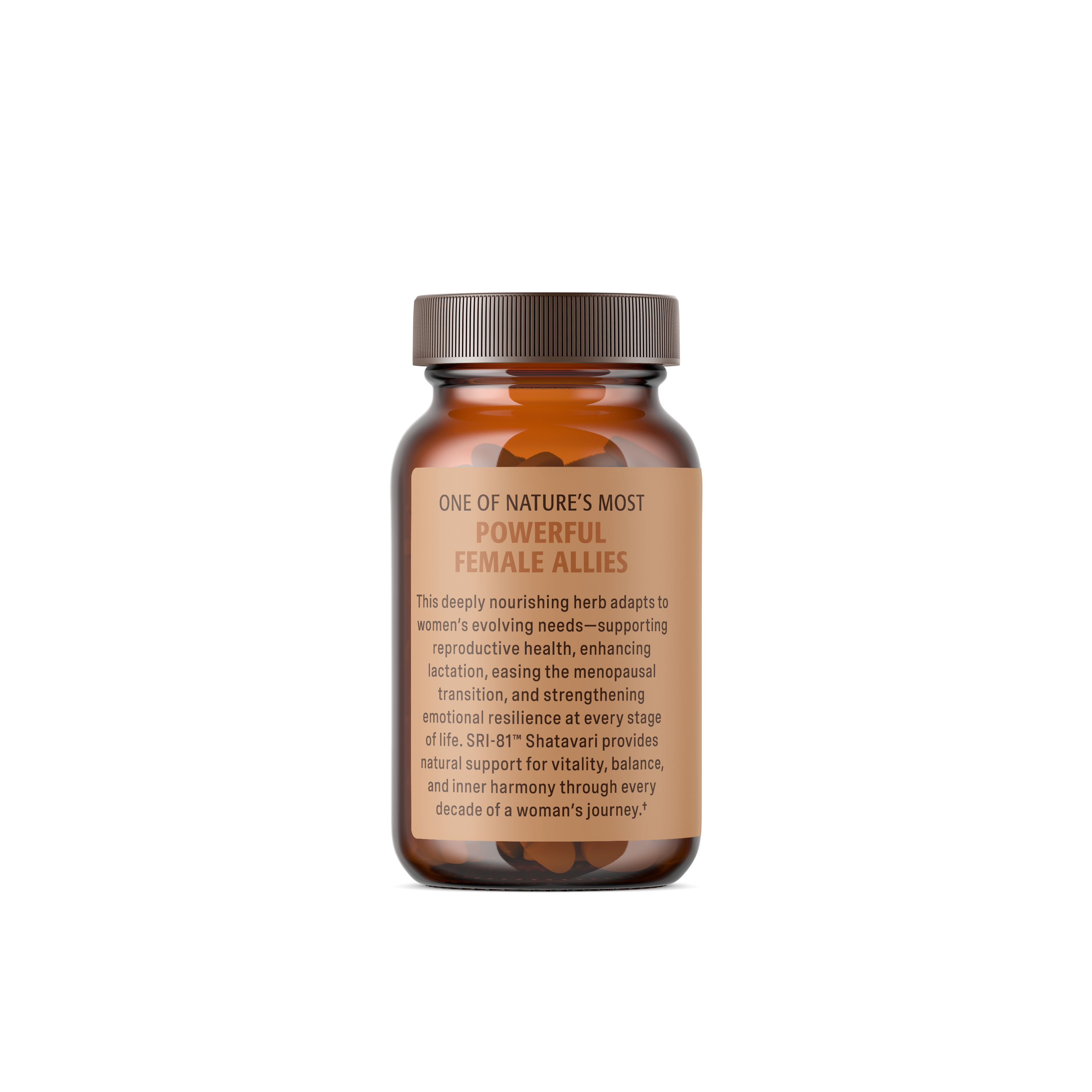 SHATAVARI 30CT