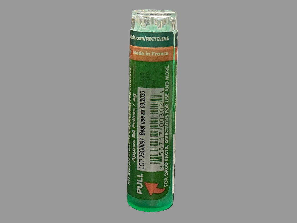 ARNICA MONTANA 12c