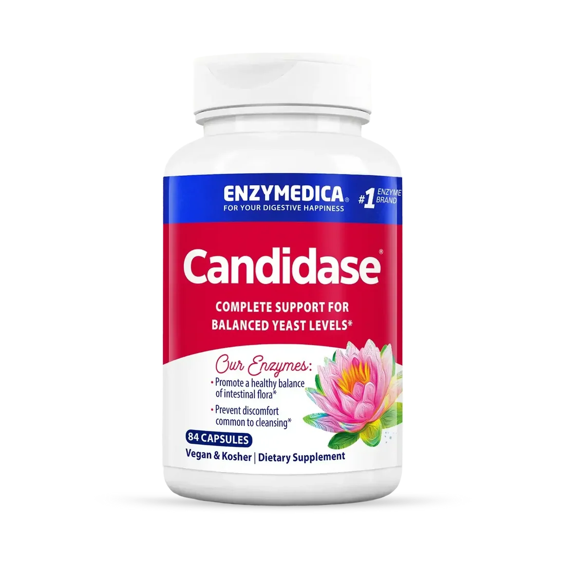 CANDIDASE 84 C