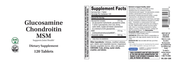 GLUCOSAMINE CHONDROITIN MSM 120 T