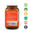 ENERGYPLUS 60T
