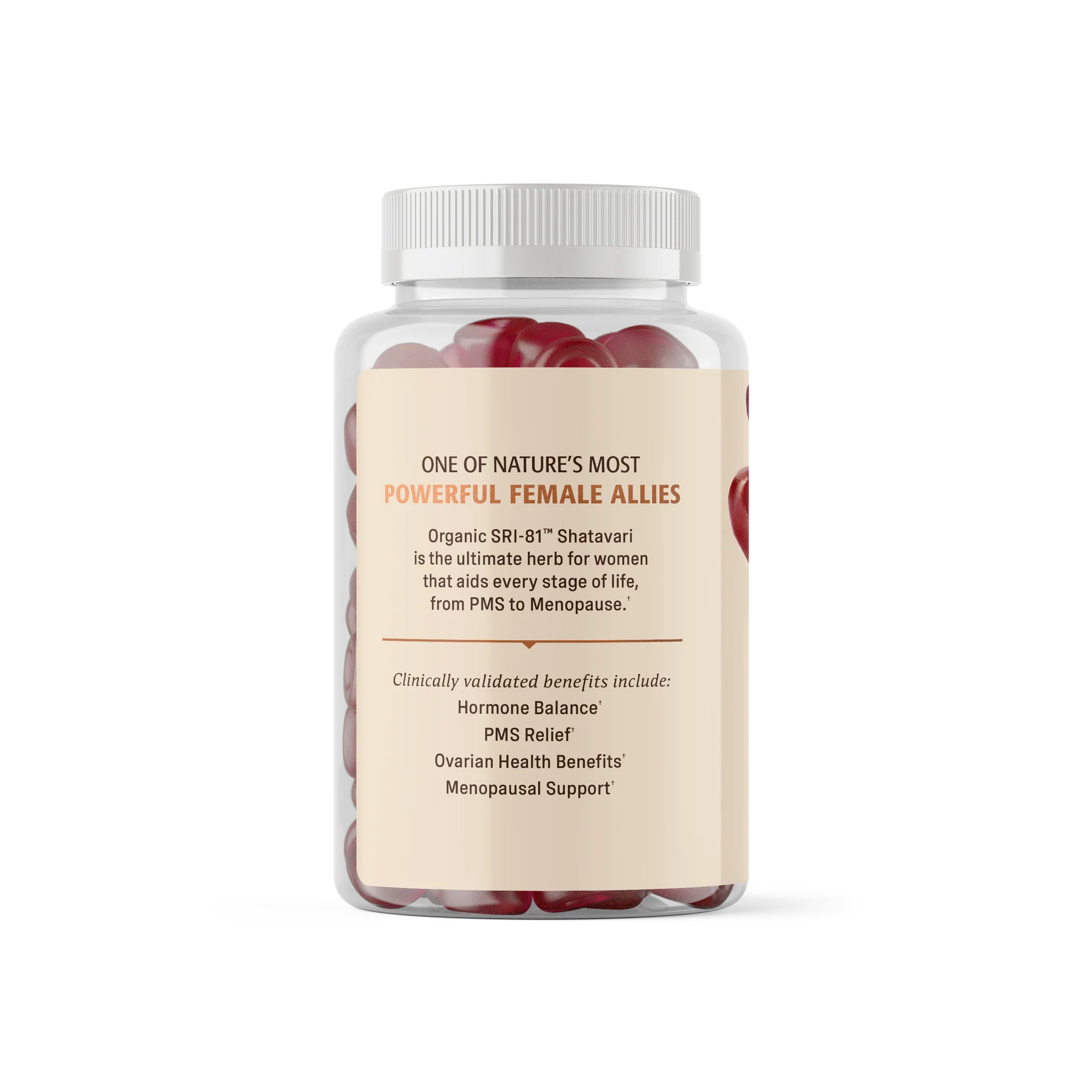 SHATAVARI GUMMIES 60 VEGAN CT