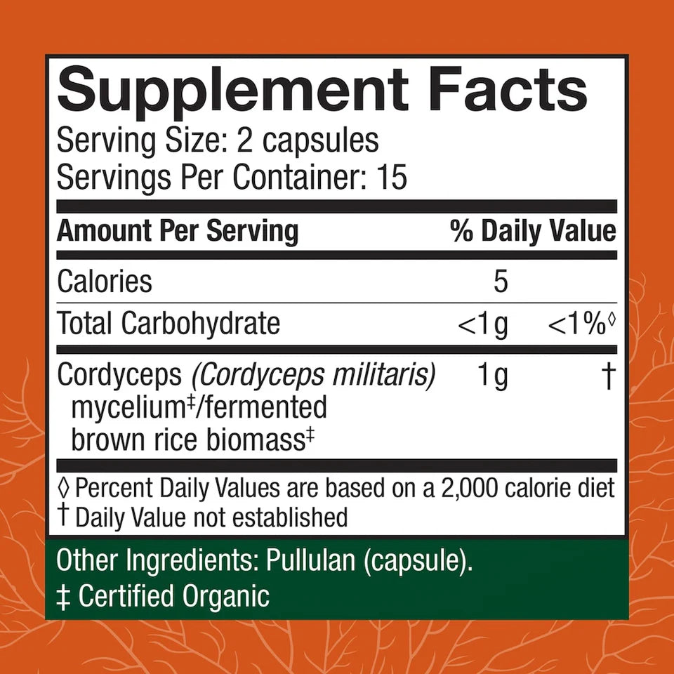 CORDYCEPS 30C
