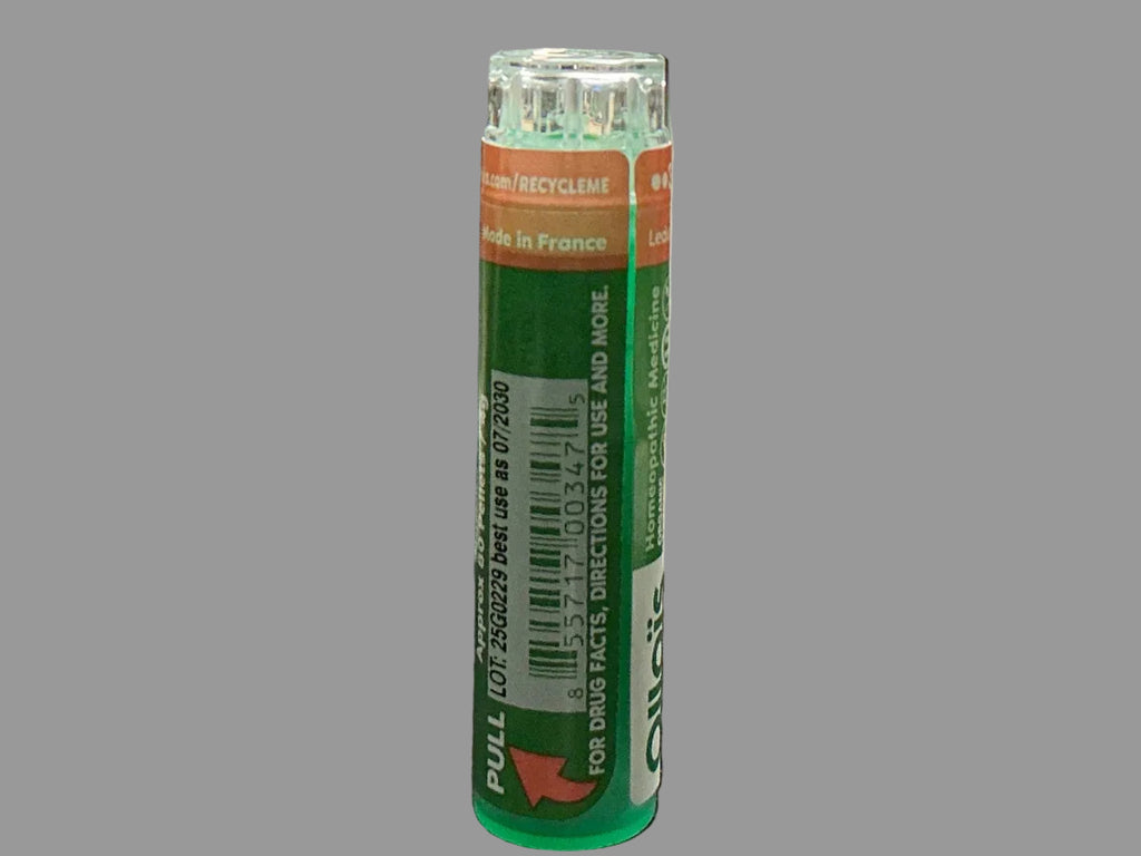 LEDUM PALUSTRE 30c