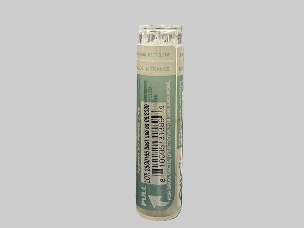 NATRUM SULPHURICUM 6X
