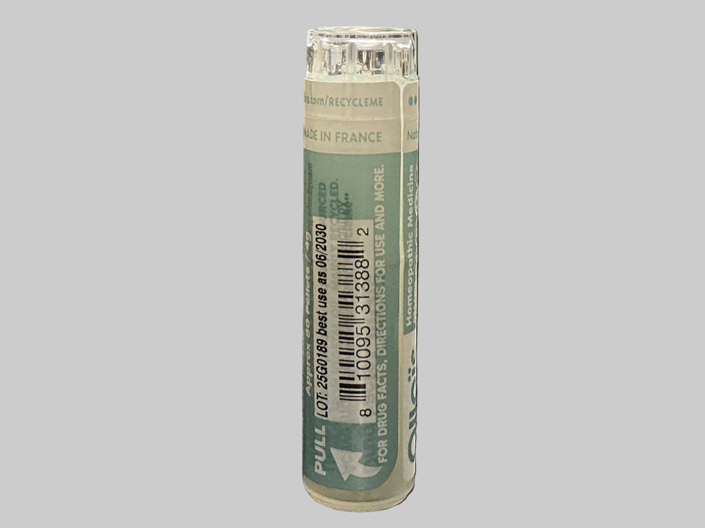 NATRUM PHOSPHORICUM 6X