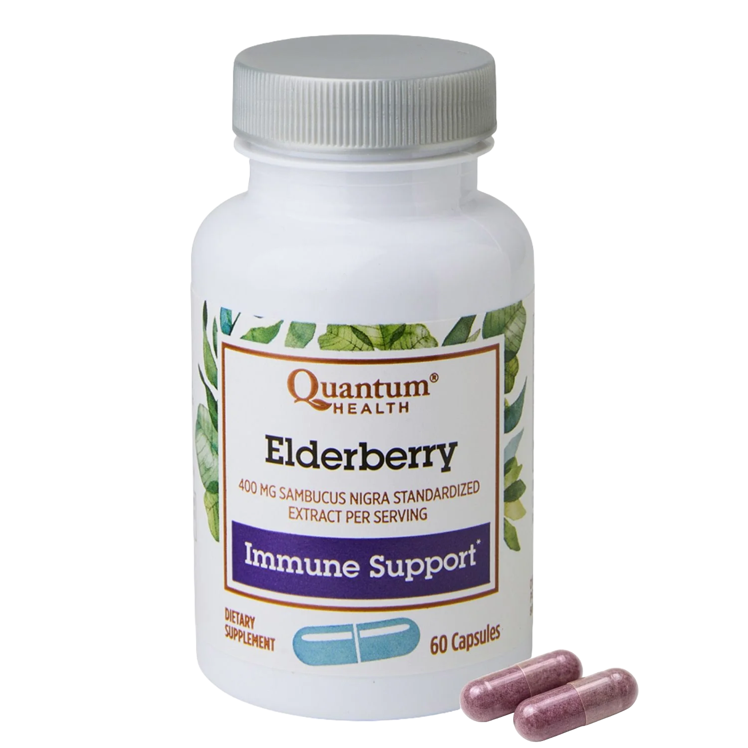 ELDERBERRY 60C