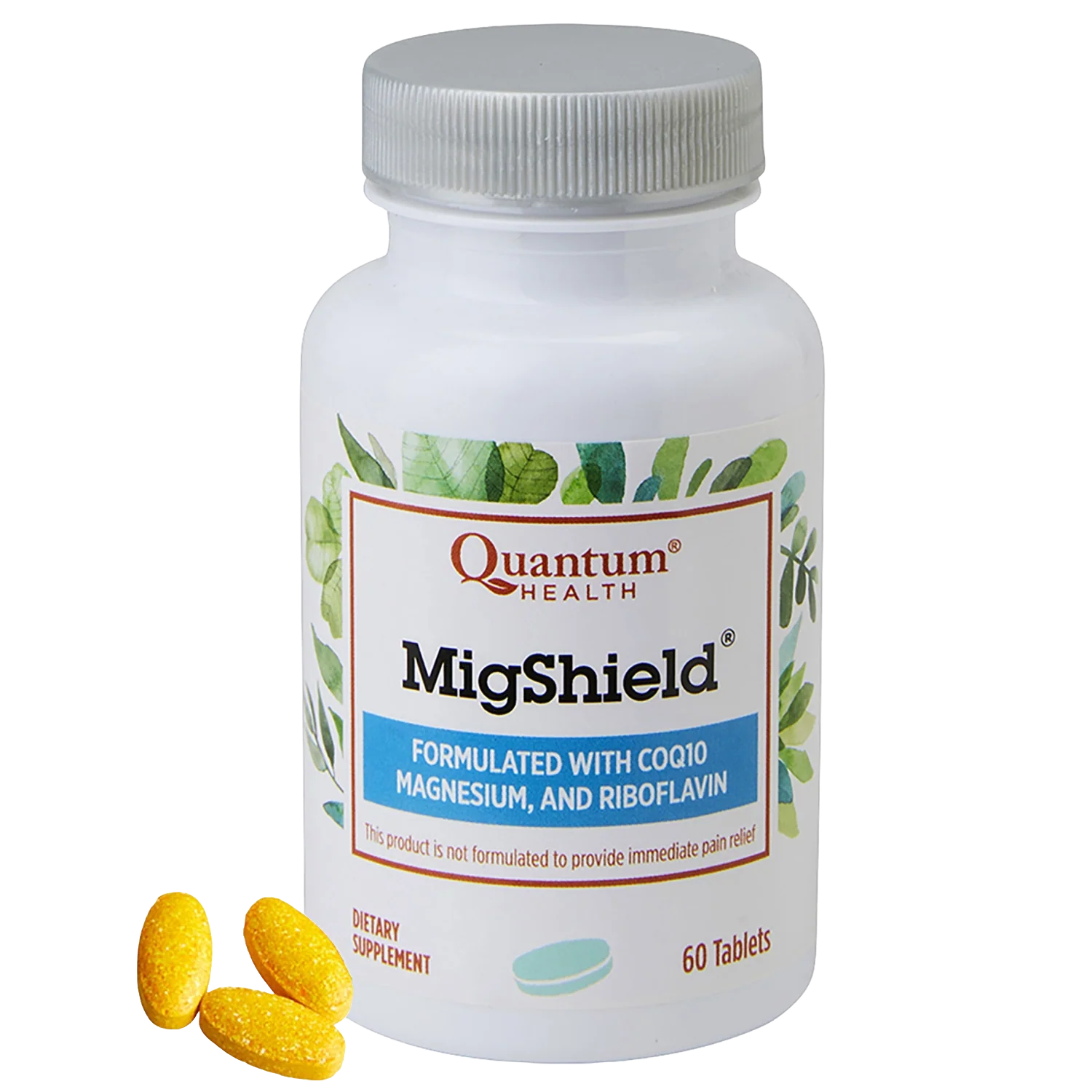 MIGSHIELD 60T