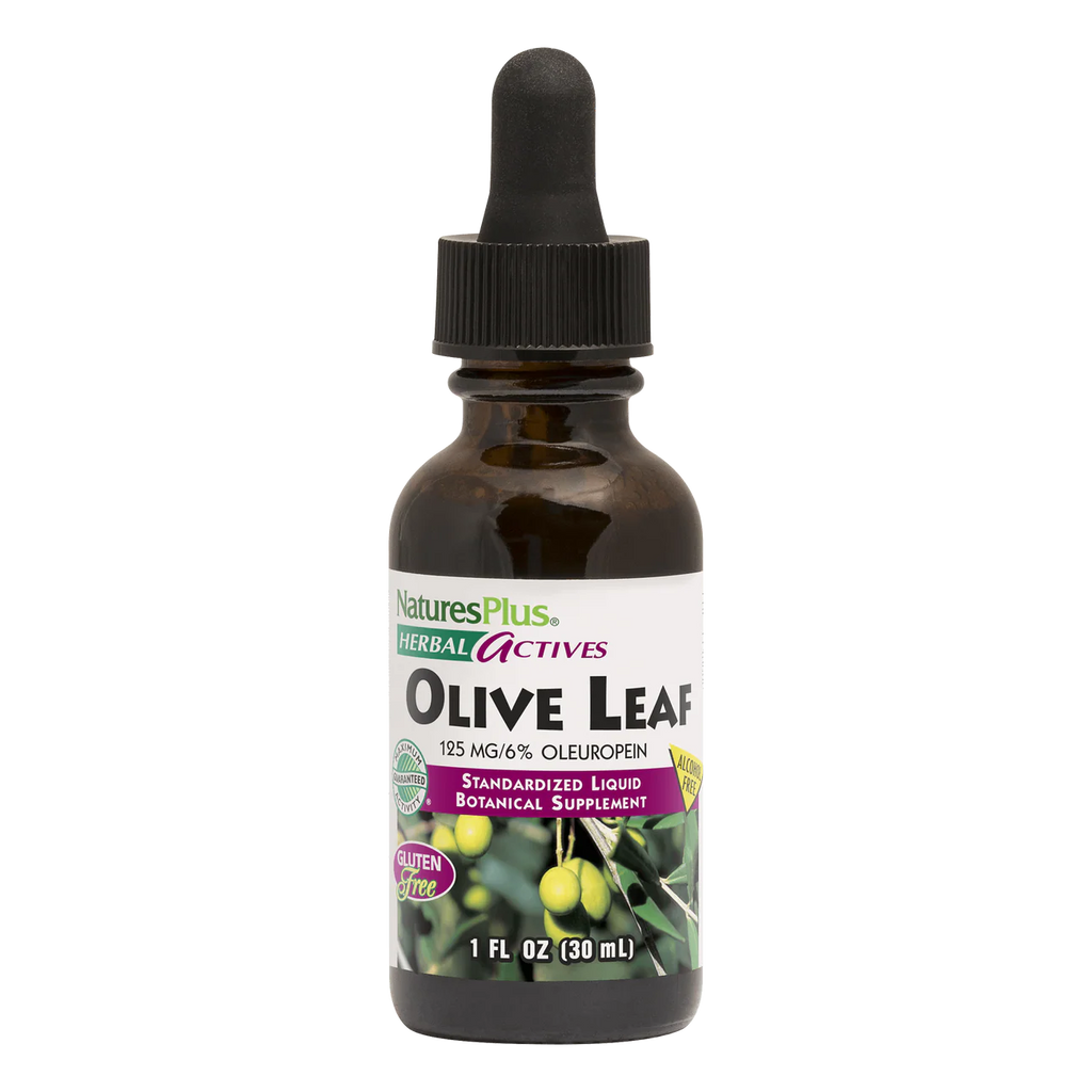 OLIVE LEAF 1 OZ