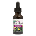 OLIVE LEAF 1 OZ