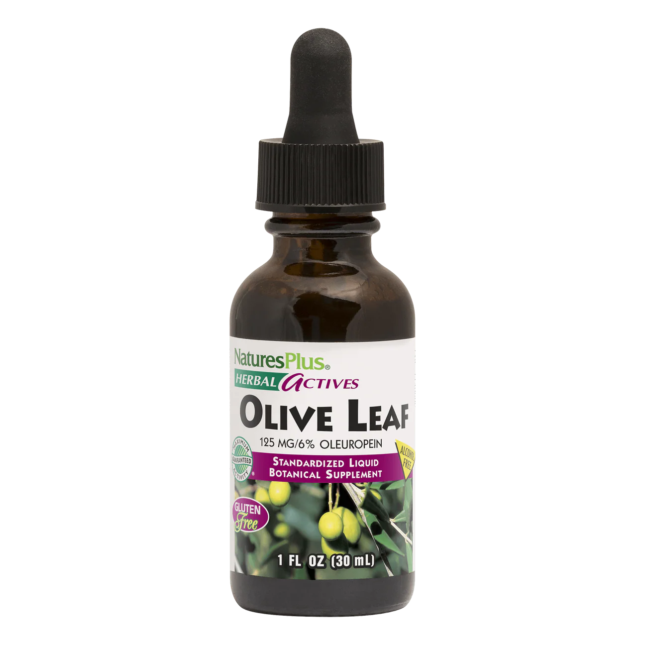 OLIVE LEAF 1 OZ