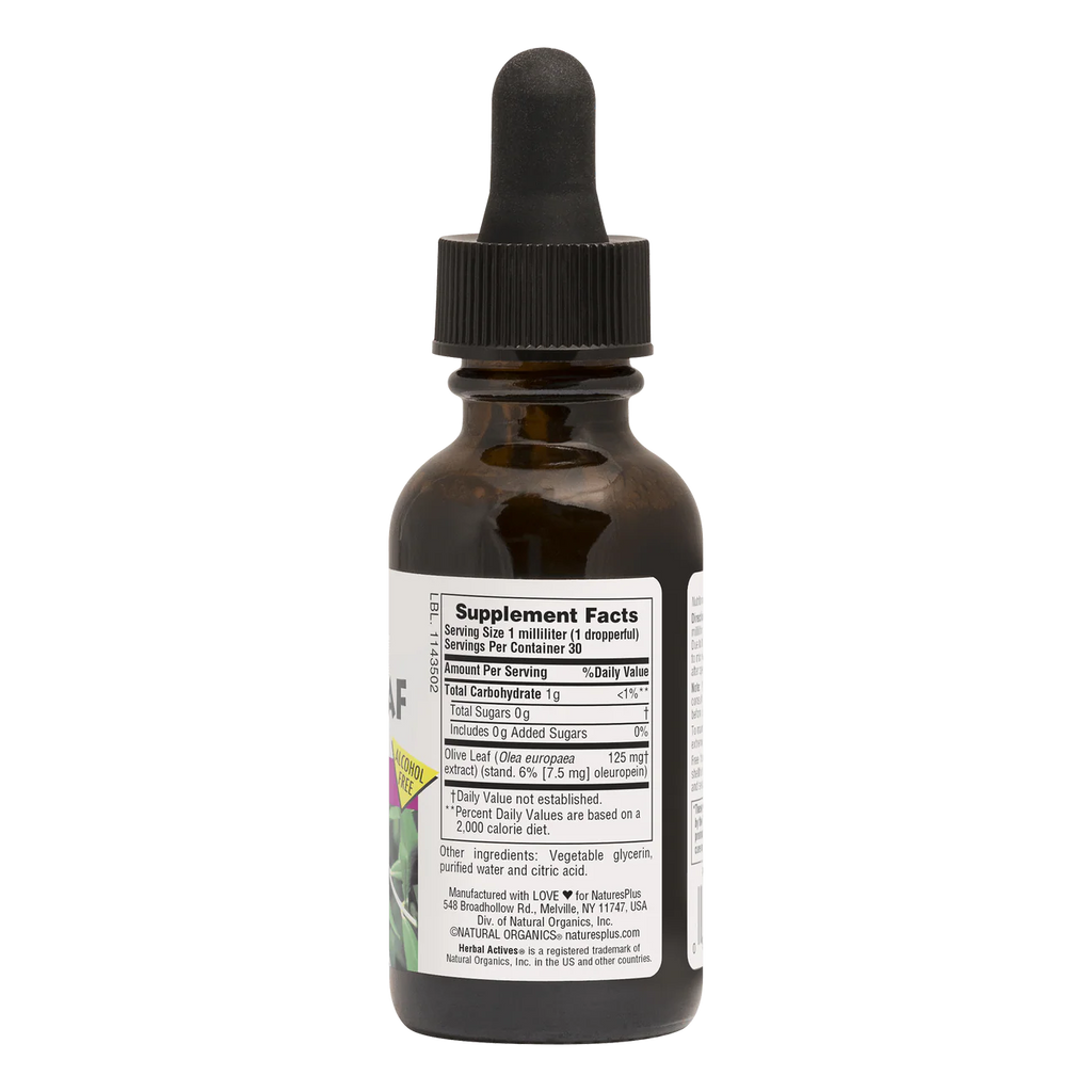 OLIVE LEAF 1 OZ
