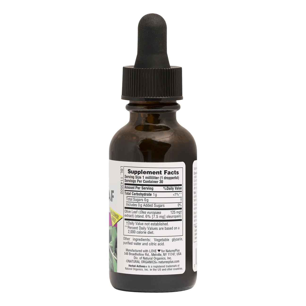 OLIVE LEAF 1 OZ