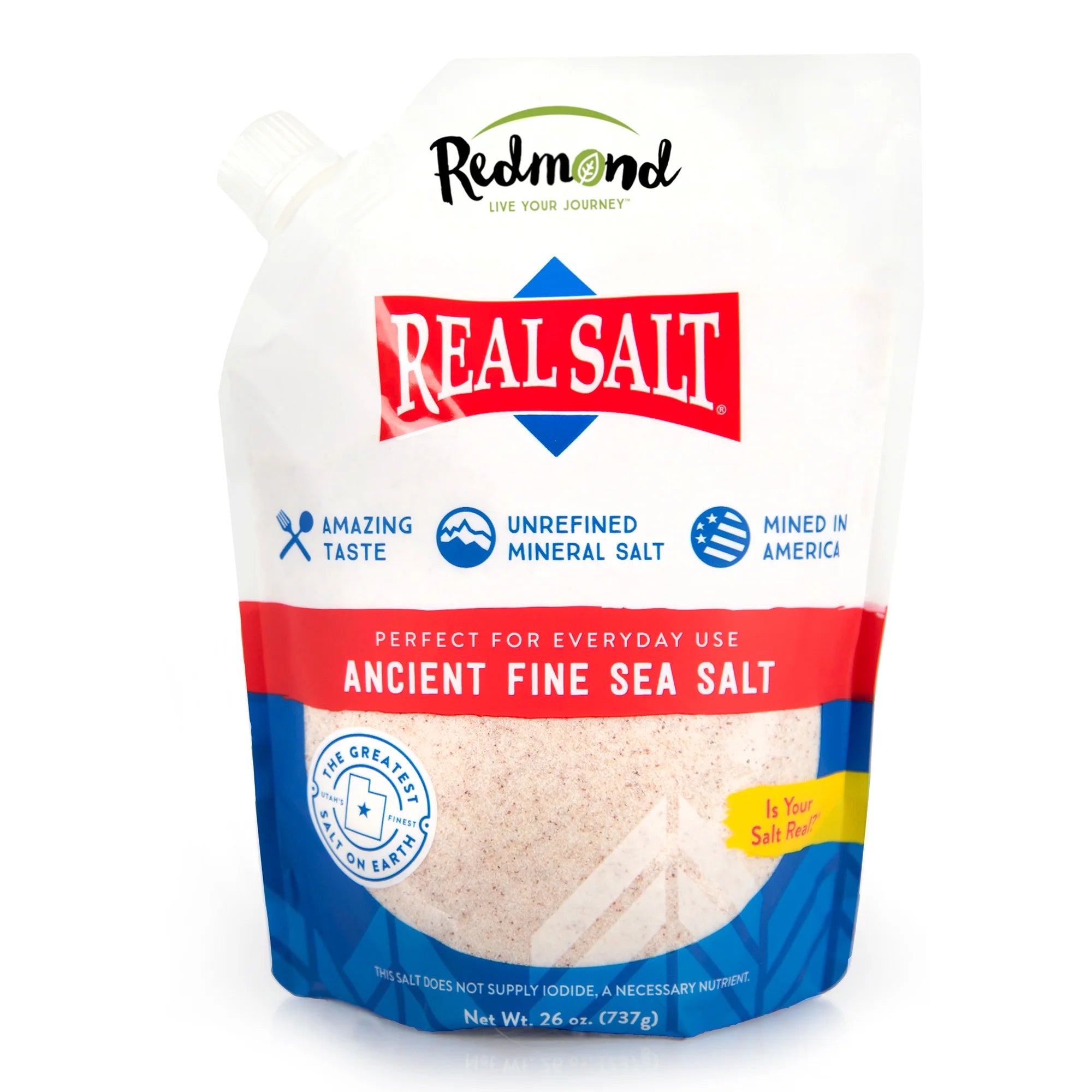 REAL SALT 16 OZ REFILL POUCH