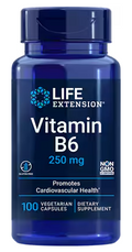 VITAMIN B6 100VC