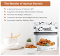 DRIED BITTER APRICOT KERNELS 8 OZ